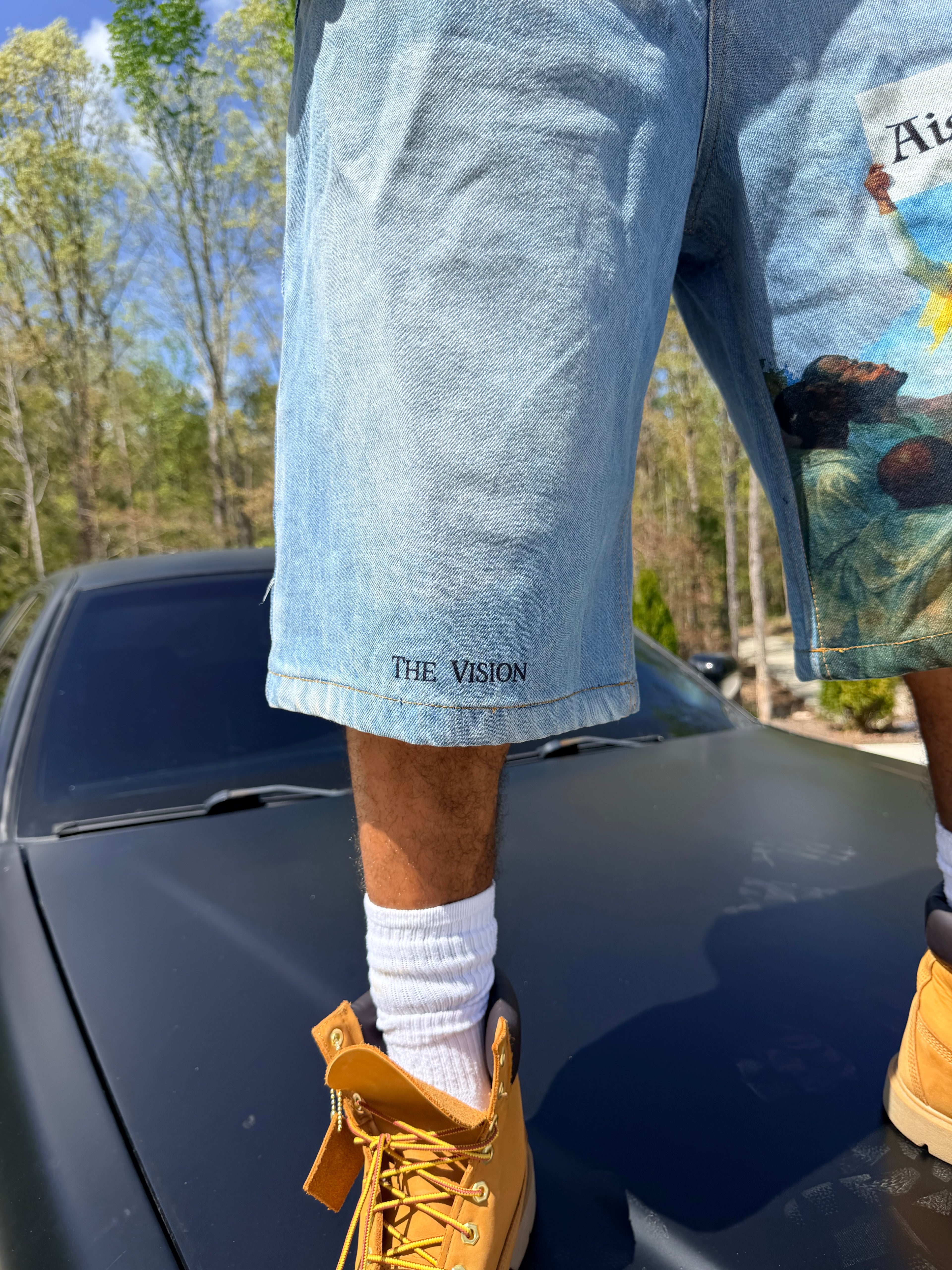 “The Vision” Jorts